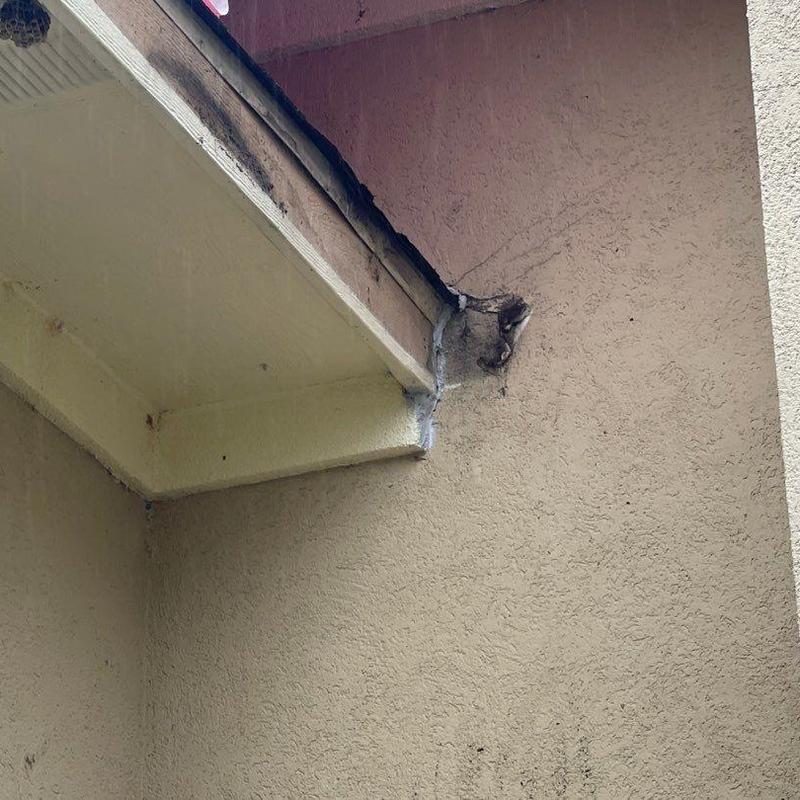 Stucco wall corner with repair patch and roof edge Stucco wall corner with repair patch and roof edge