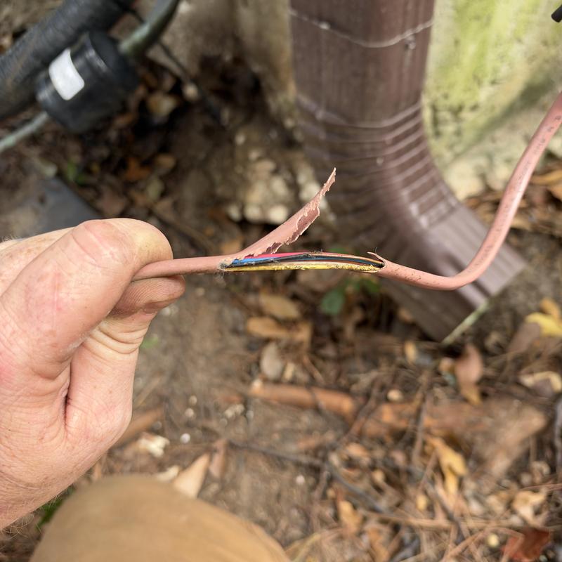 Thermostat wire with rodent damage at condenser unit