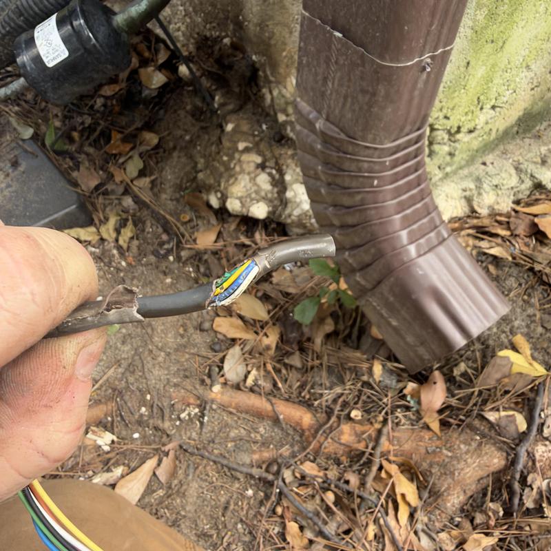 Thermostat wire rodent damage at AC condenser outdoors