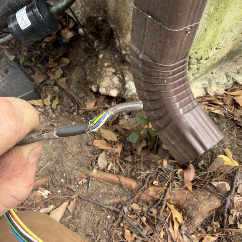 Thermostat wire with rodent damage near downspout