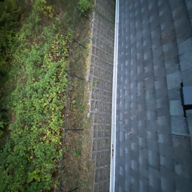 Roof shingles and gutter along wooded slope