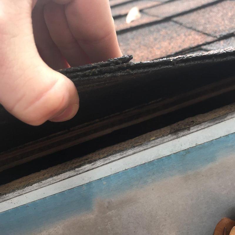Asphalt shingles lifted by wind on residential roof