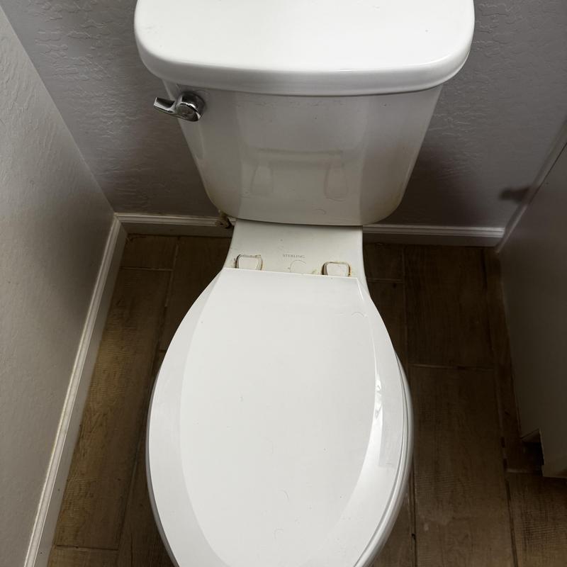 Toilet base with new wax ring and bolts installed Toilet base with new wax ring and bolts installed