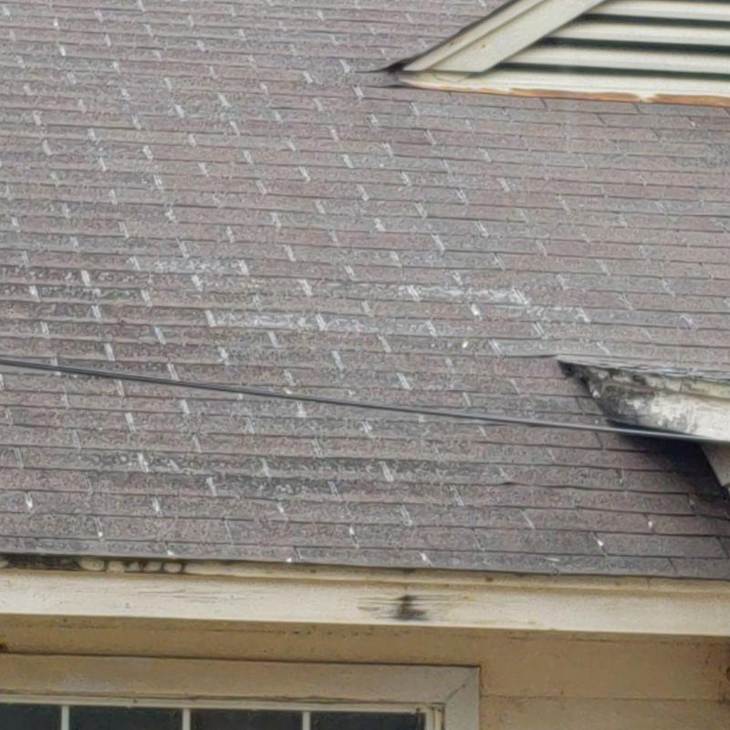 Shingle roof with weathering and discoloration stains