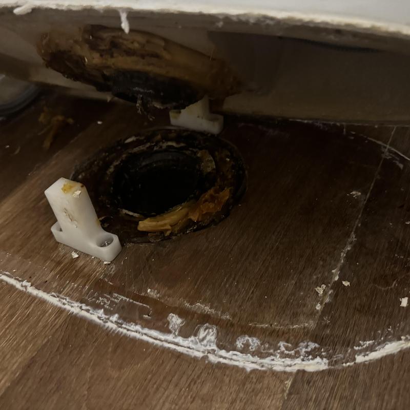 Toilet flange and damaged floor surrounding base