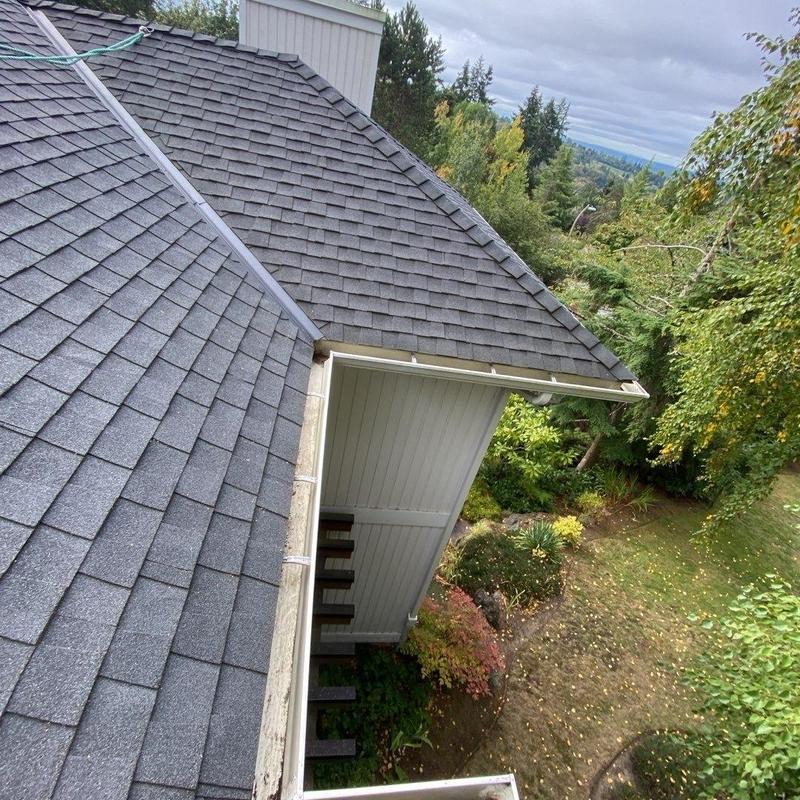 Roof shingles and gutters with moss treatment in Bellevue