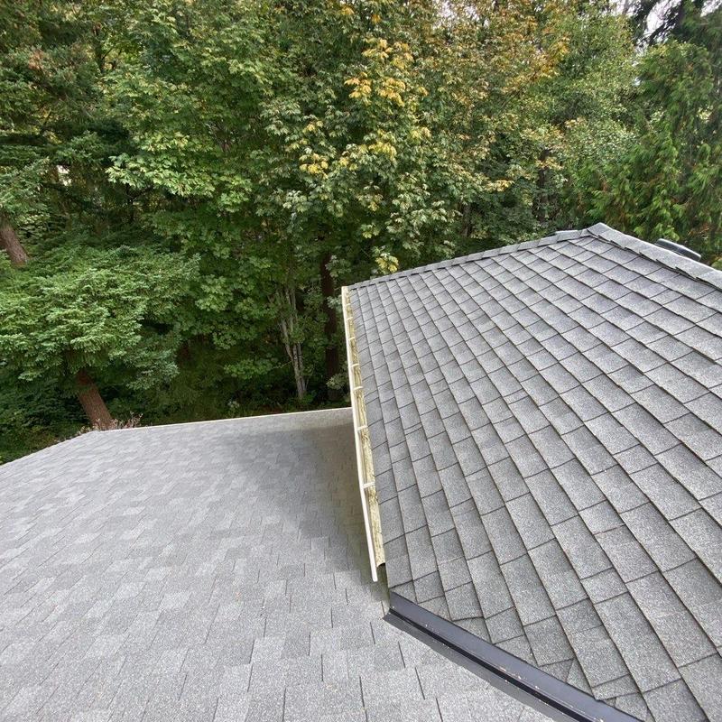 Asphalt shingle roof and gutter cleaning with moss treatment