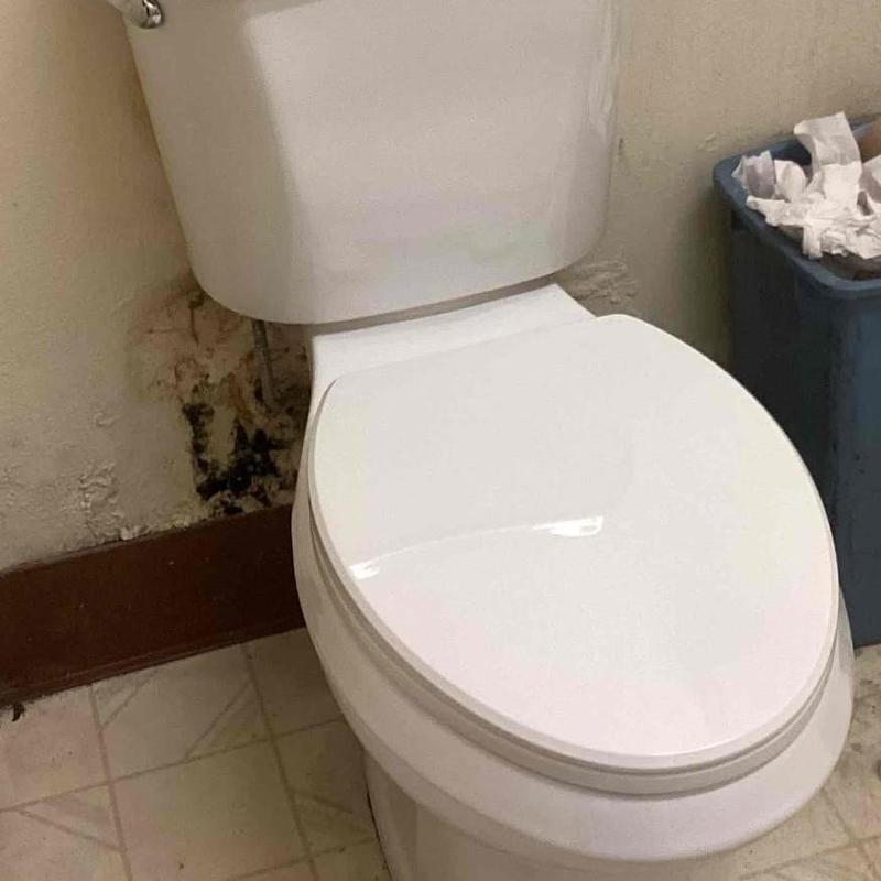 Chair-height elongated toilet installed in bathroom