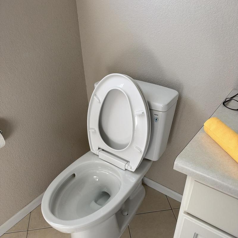 Toilet bowl and tank installed in bathroom corner