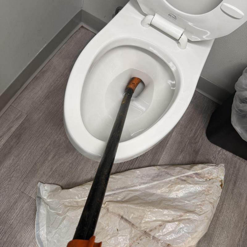 Toilet bowl with auger clearing clog in bathroom Toilet bowl with auger clearing clog in bathroom