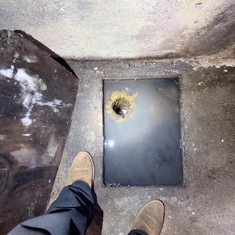 House trap drain with standing water after cleaning House trap drain with standing water after cleaning