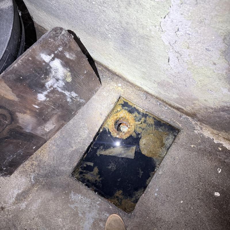 House trap drain with standing water and debris House trap drain with standing water and debris