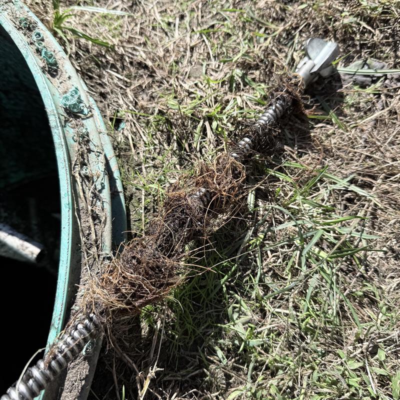 Septic tank main line clogged with roots removal Septic tank main line clogged with roots removal