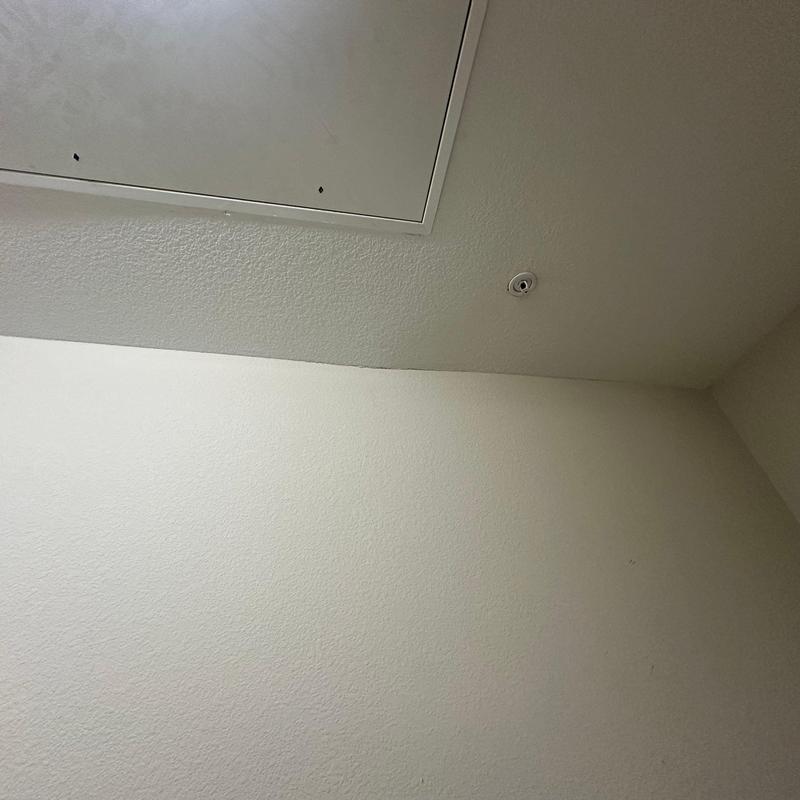 Ceiling with water damage near attic access panel Ceiling with water damage near attic access panel