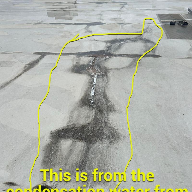 Concrete roof with water damage and stains outlined in yellow Concrete roof with water damage and stains outlined in yellow