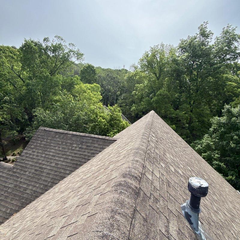 Asphalt shingle roof ridge inspection with surrounding trees