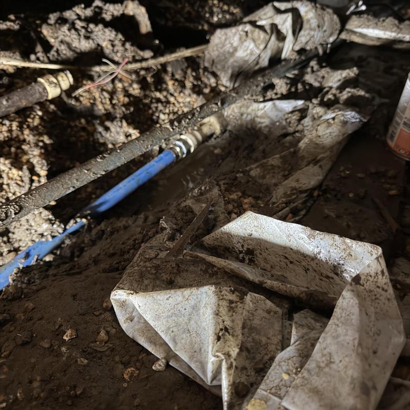 Blue plastic water line with fittings under house Blue plastic water line with fittings under house