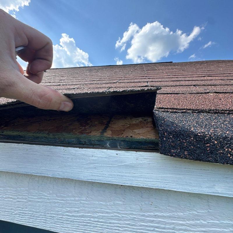 Roof shingles lifted showing underlying damage on edge