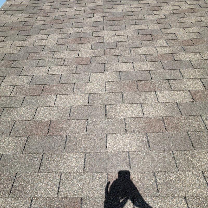 Asphalt roof shingles with minor hail damage visible