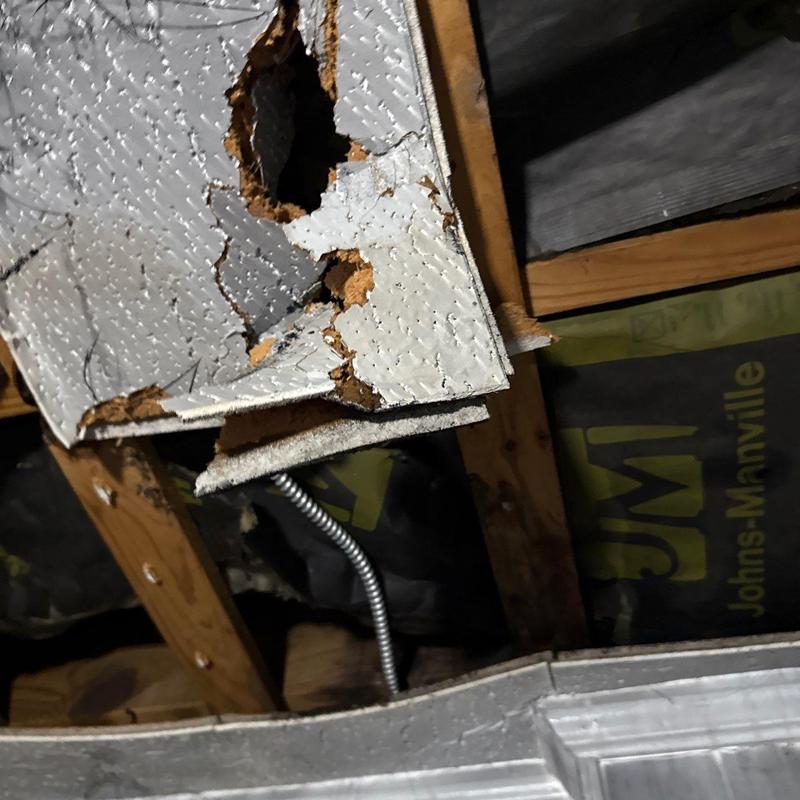 Insulation board with severe moisture and mold damage