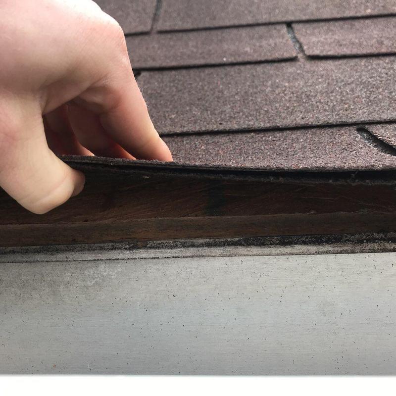 Architectural shingles lifted showing roof decking damage