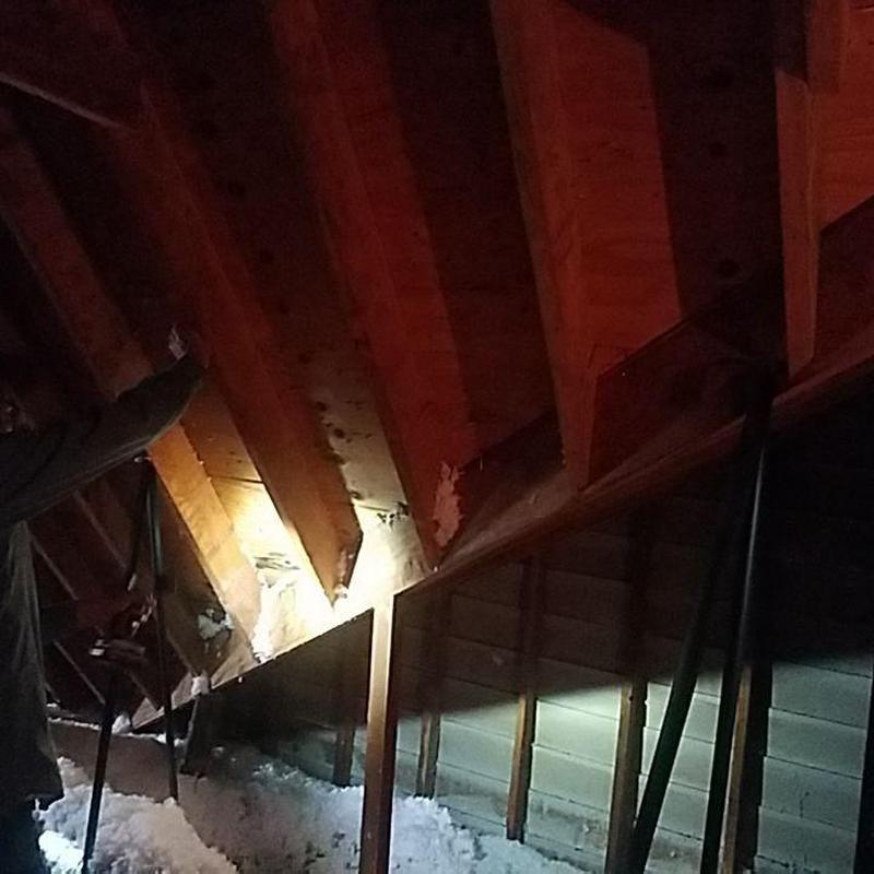 Attic roof structure inspection with insulation and damage