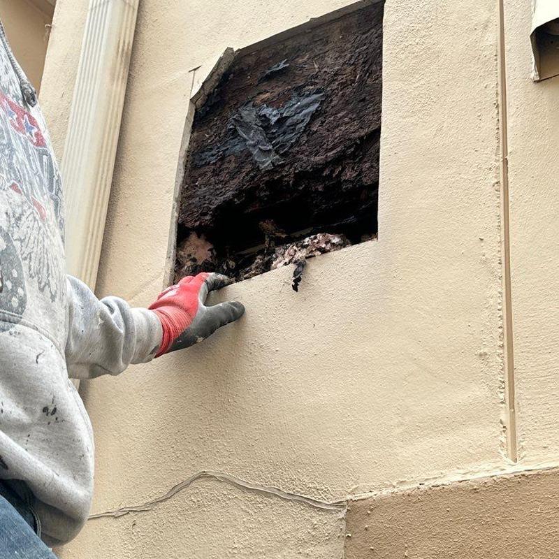 Damaged stucco exterior wall section with underlying rot Damaged stucco exterior wall section with underlying rot