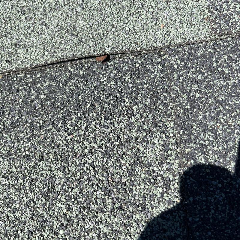 Asphalt roof shingles with lifted edge and exposed nail