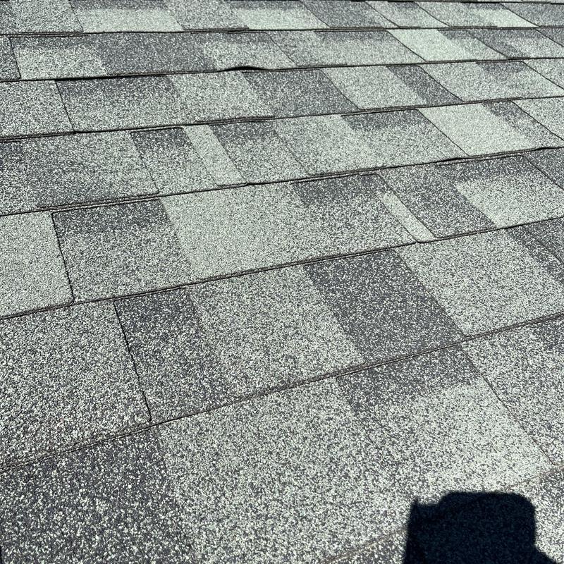 Asphalt shingle roof with minor lifting and wear