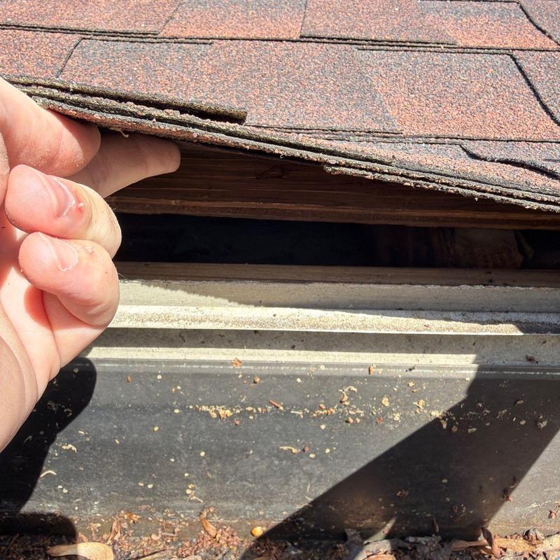 Roof shingles lifted for inspection of hail damage