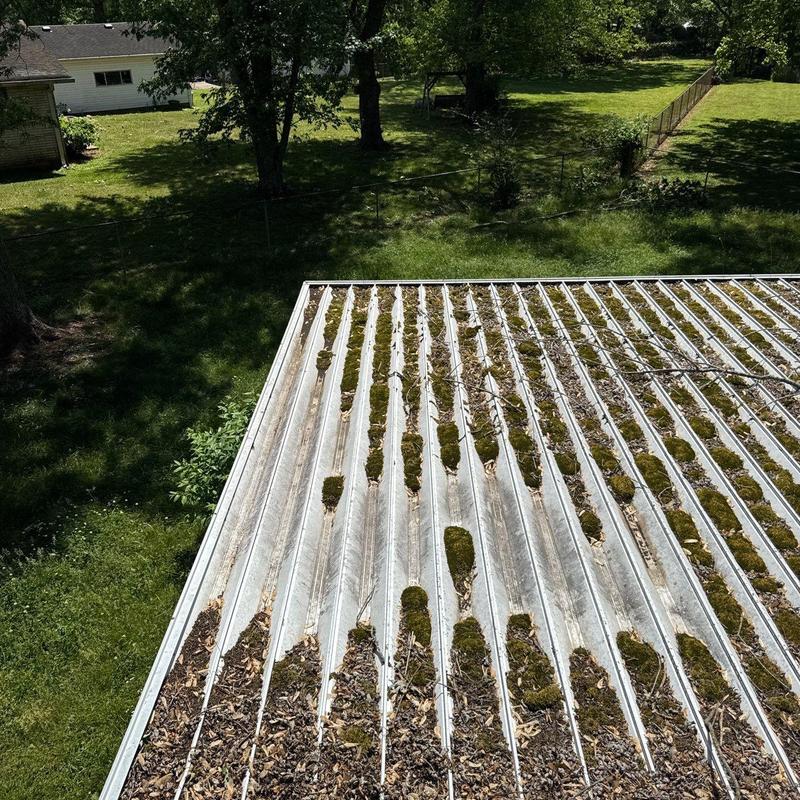 Metal roof panels with moss and debris buildup