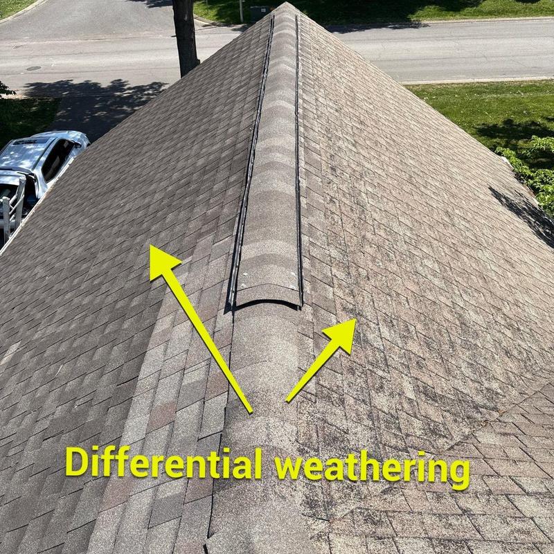Asphalt shingle roof showing differential weathering