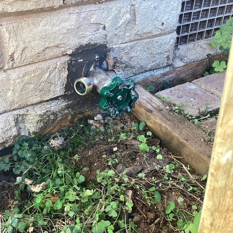 Frost free hose bib with green handle on brick wall Frost free hose bib with green handle on brick wall