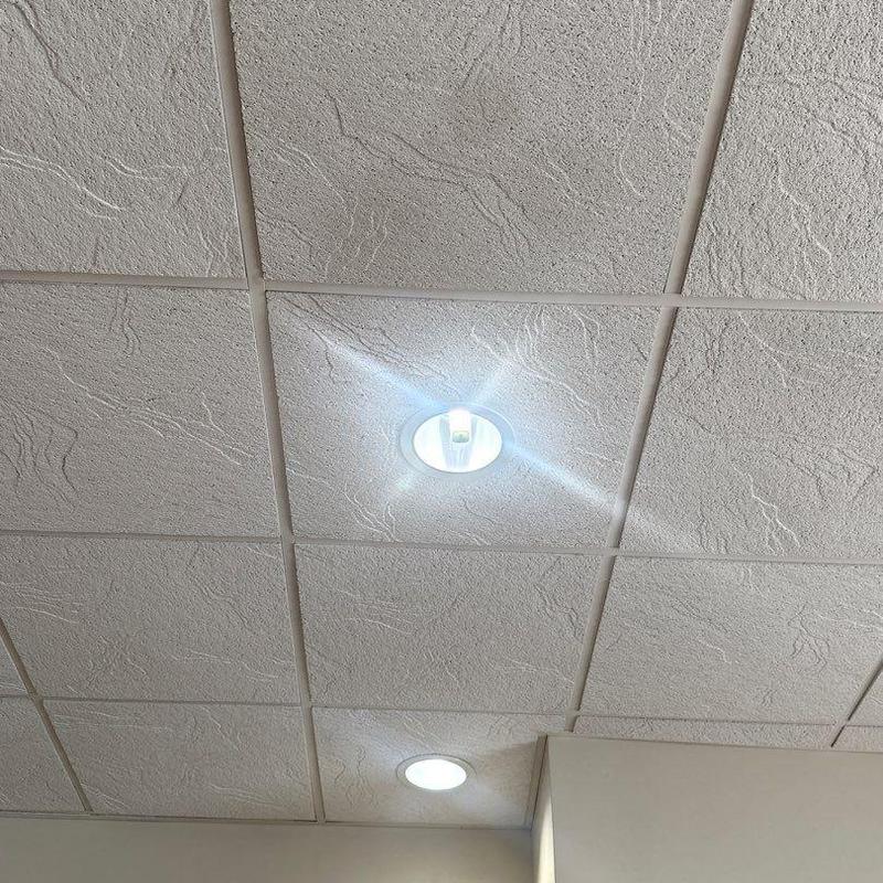 Ceiling tiles with recessed lighting fixtures installed Ceiling tiles with recessed lighting fixtures installed