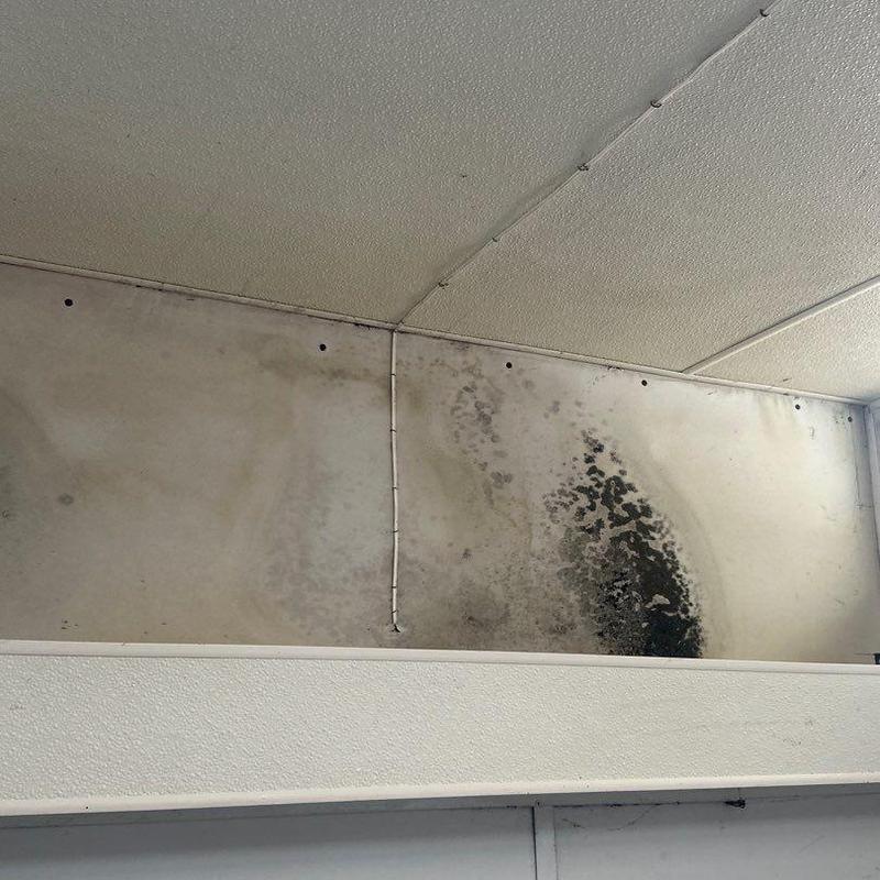 Concrete roof mold and moisture damage near pipe conduit Concrete roof mold and moisture damage near pipe conduit