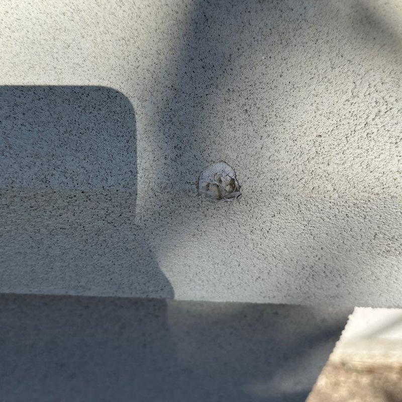 Stucco wall surface with small damaged spot Stucco wall surface with small damaged spot