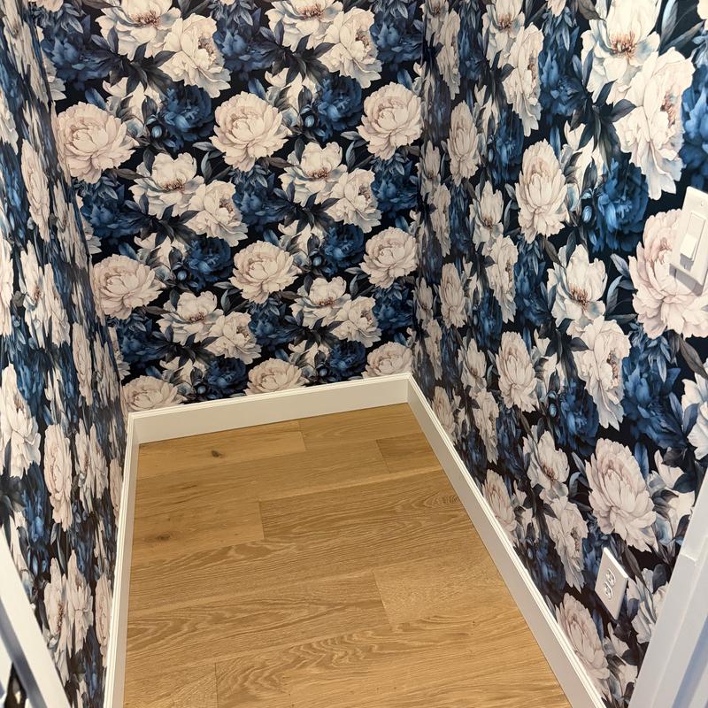 Toilet and pedestal lav plumbing rough-in in closet Toilet and pedestal lav plumbing rough-in in closet