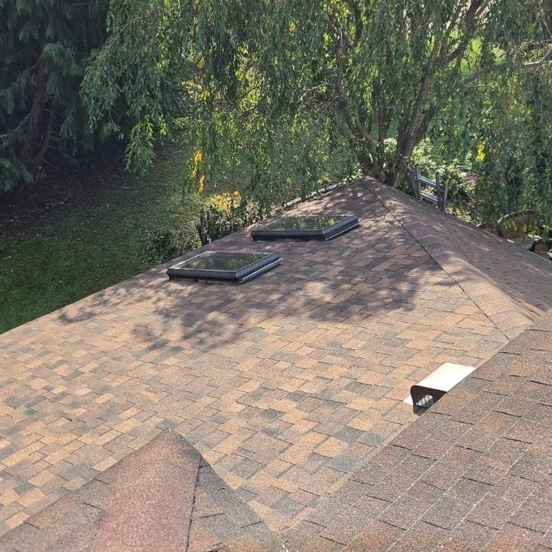 CertainTeed Landmark Pro shingles roof with skylights