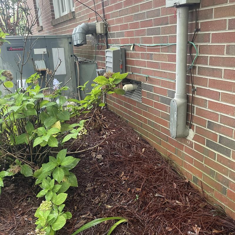 Sewer cleanout pipe by brick house exterior with plants Sewer cleanout pipe by brick house exterior with plants