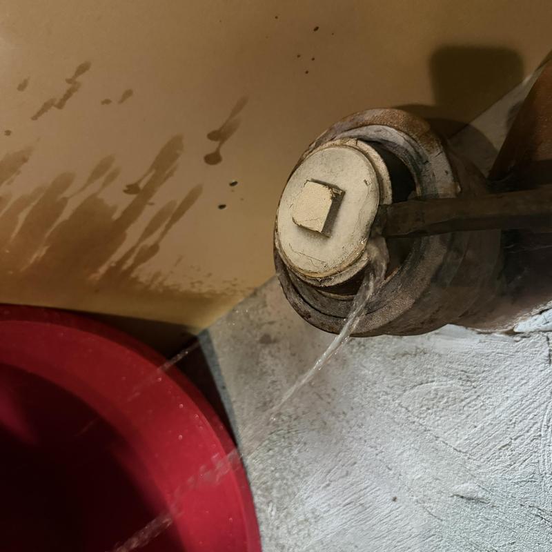 Main line sewer pipe leaking water into bucket Main line sewer pipe leaking water into bucket