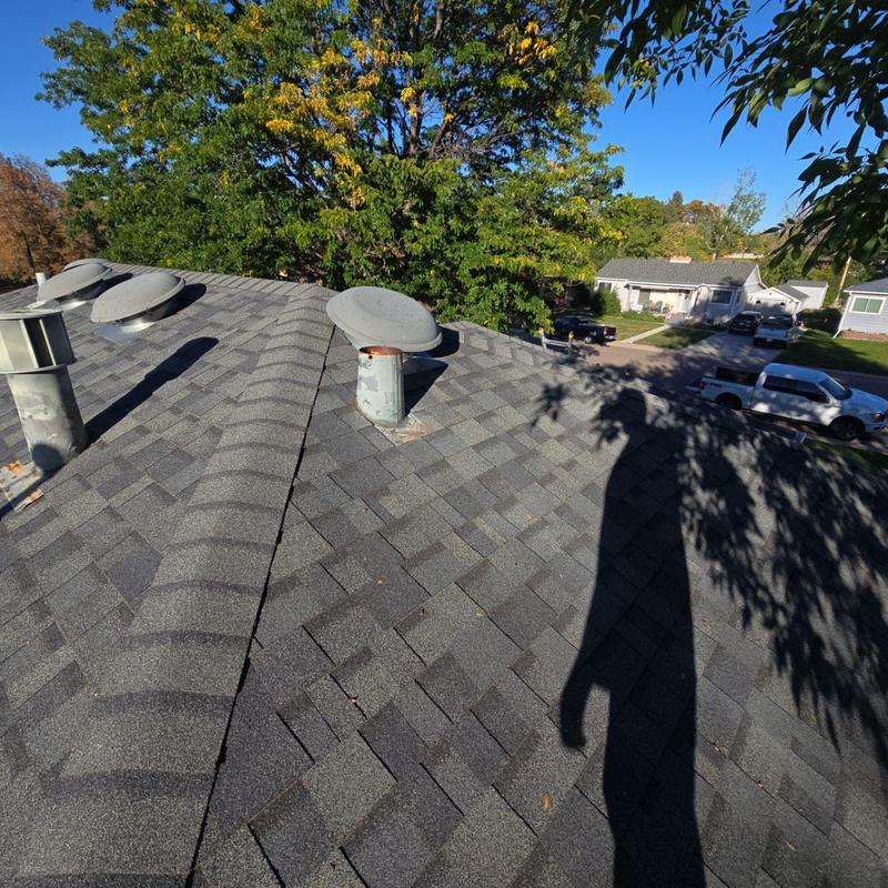 Asphalt shingle roof with ventilation pipes and tree shadow