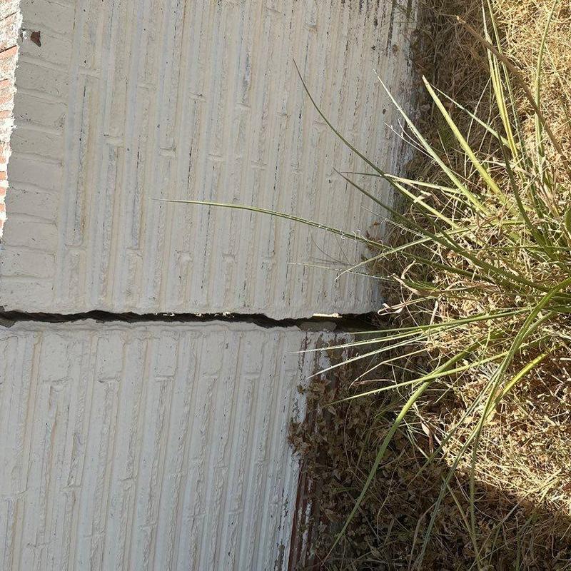 Concrete wall separation with vegetation nearby Concrete wall separation with vegetation nearby