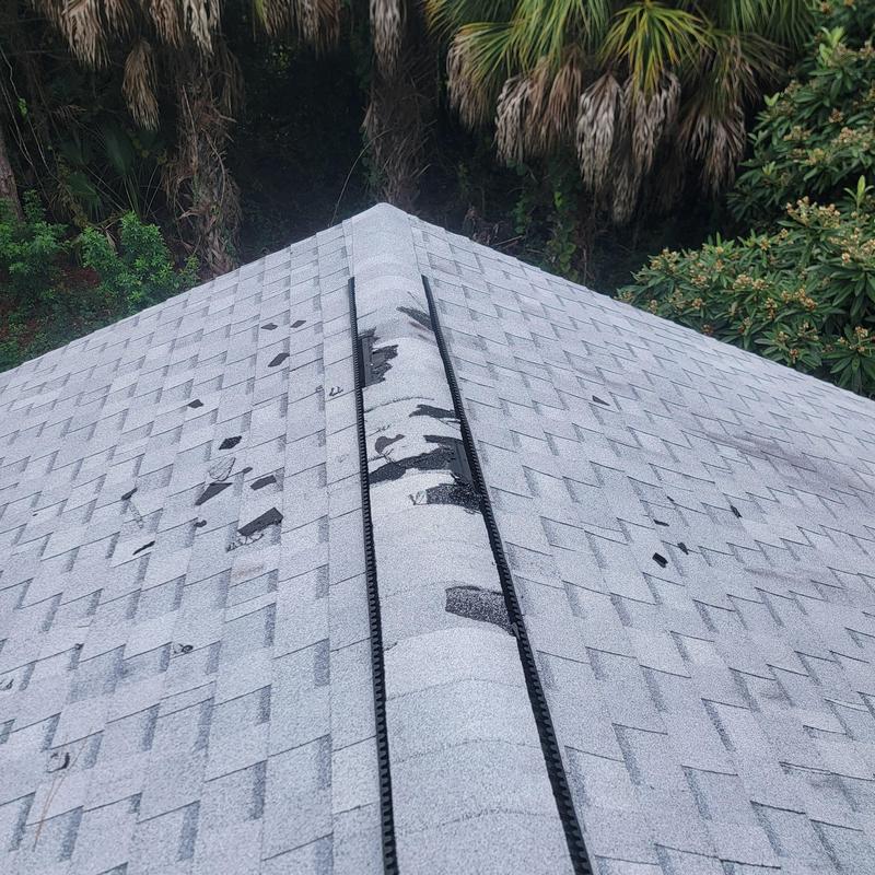 Ridge vent with missing shingles and animal damage Ridge vent with missing shingles and animal damage