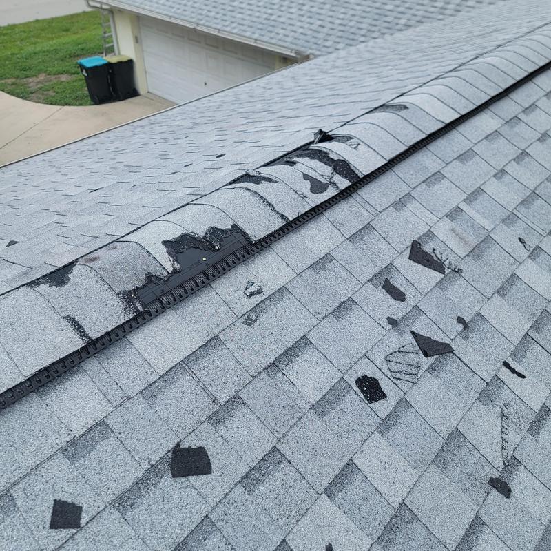 Roof shingles with animal damage near ridge vent Roof shingles with animal damage near ridge vent