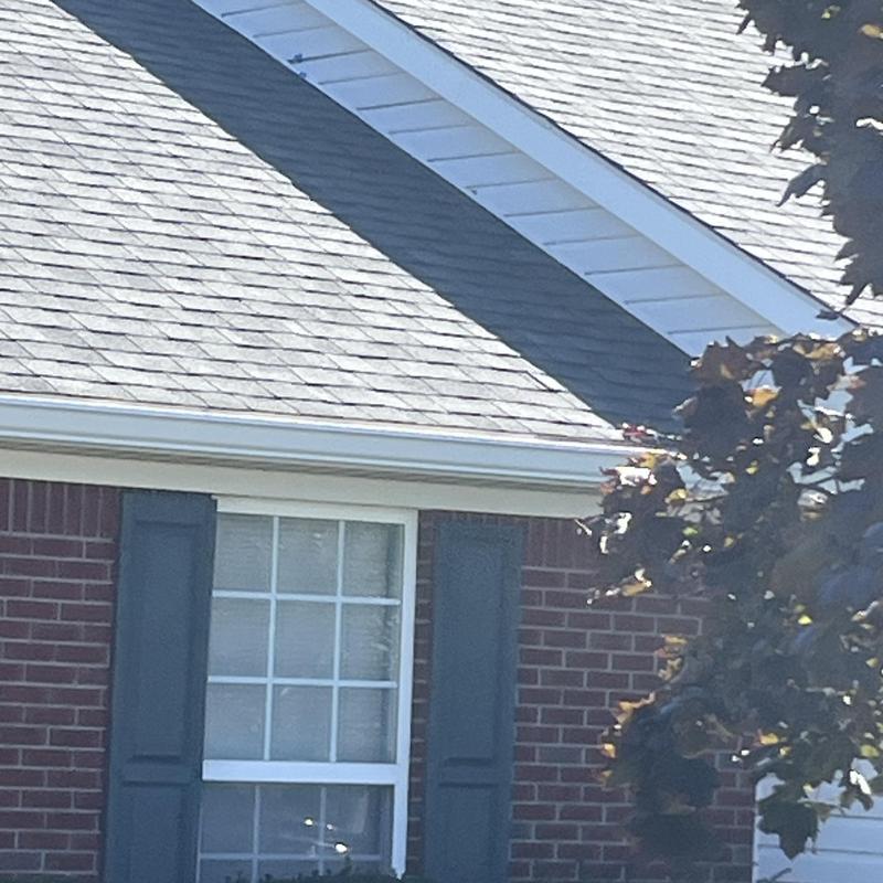 Vinyl siding and brick exterior with window shutters