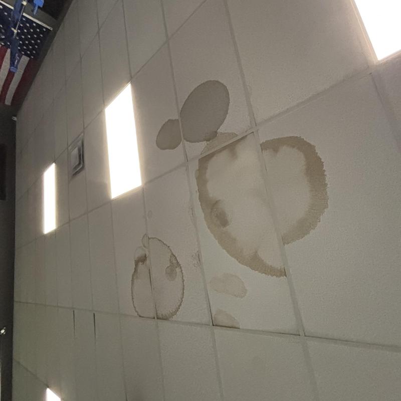 Ceiling tiles with water damage stains