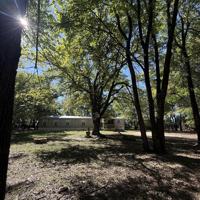 Mulberry tree removal near mobile home in Gerty, OK
