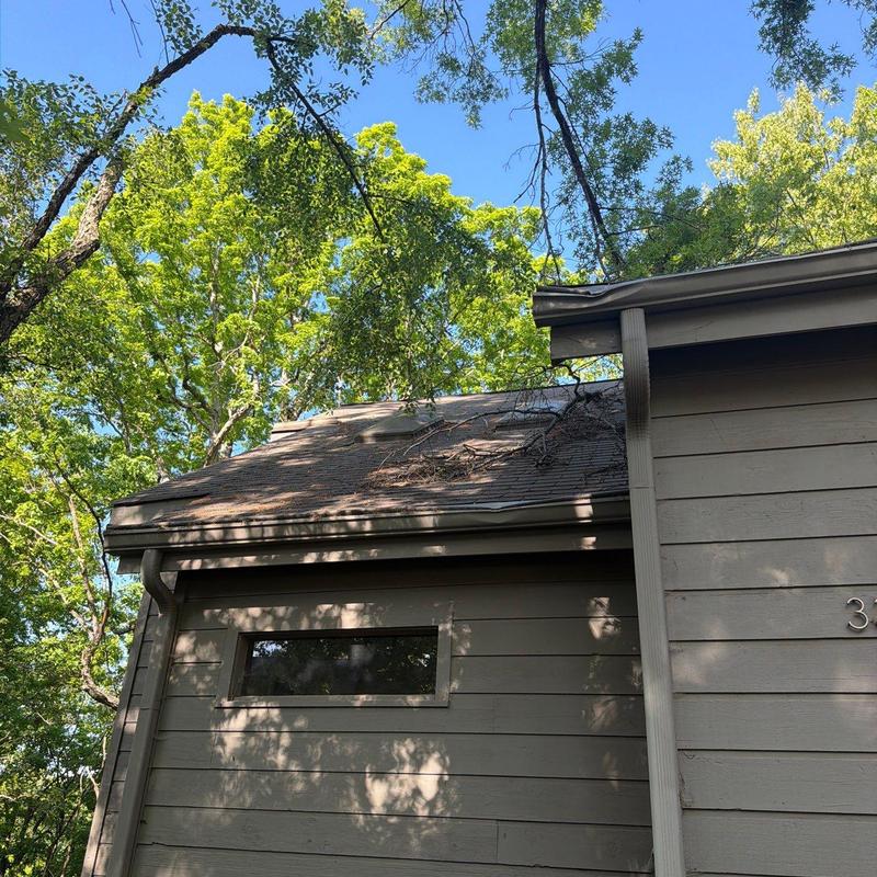 Roof shingles with debris and tree branches on roof edge