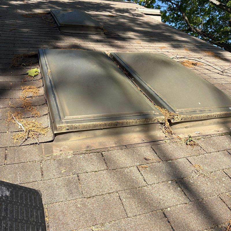 Skylight roof shingles with debris and wear