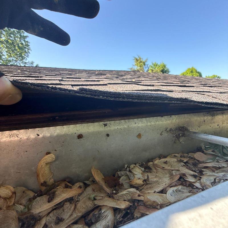 Roof shingles lifting above debris-filled gutter edge